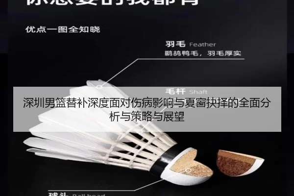 深圳男篮替补深度面对伤病影响与夏窗抉择的全面分析与策略与展望